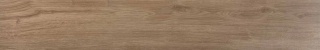 WALKYRIA OAK 20X120 G1 EC
