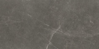 BAYONA GREY NATURAL P6012E 120x60 BL
