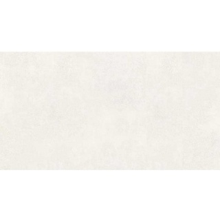 METROPOLI GRIS 60X120 LAPPATO EG