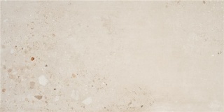 P.E. PULIDO ILLUSION CREMA 60X120 RECT AL wyprz