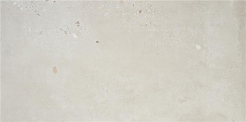 P.E. PULIDO ILLUSION GRIS 60X120 REC AL wyprz.