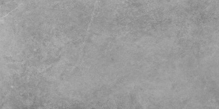 Pp TACOMA SILVER LAPPAT 597x597x8 G.1 CD