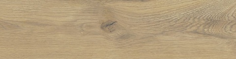 Pp TAIGA / SGR245-1 WOOD BEIGE 30X120 G.1 SG PROM