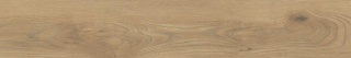 Pp TAIGA / SGR251-1 WOOD HONEY 20X120 G.1 SG PROMO