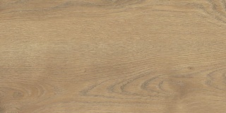 Pp TAIGA / SGR363-1 WOOD HONEY 30x60 G.1 SG PROMO