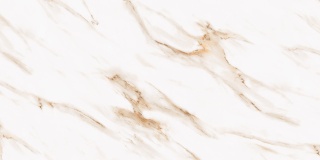Pp VENA BELLA Rett. 60x120 g.1 SG PROMOCJA