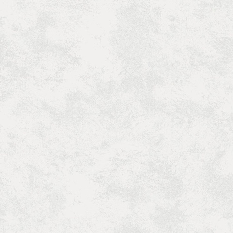 RIGA WHITE 60X60 LAPPATO EG