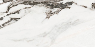 Rect. Calacatta Monet 59,1x119,1 G1 GF