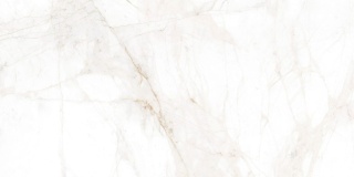 Rect. Spider Gold 59,1x119,1 G1 GF