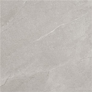 TERRA GRIS 60X60 LAPPATO G.1 EG