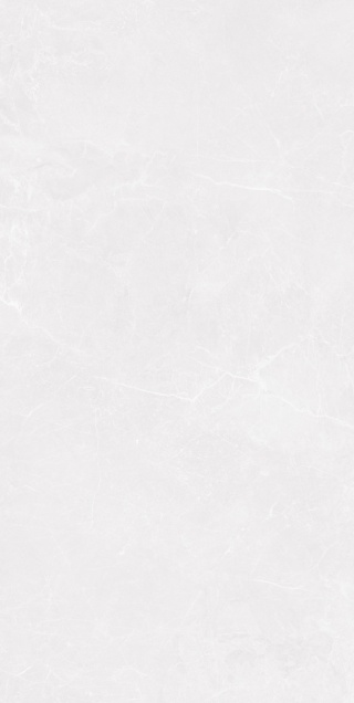 DEFTERA WHITE 60X120 GHR+CARVING GOLD