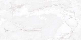 DG HERCULAS ASH VELVET 120X60 LUSTER GOLD