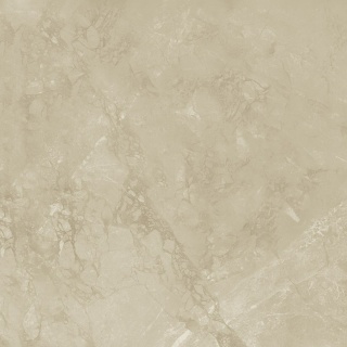 Pp SGR284-2 / MAGNOLIA BEIGE Rett.60x60 G.2 SG