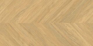 Pp SGR381-1 / LARA Rett. 60x120 g.1 SG